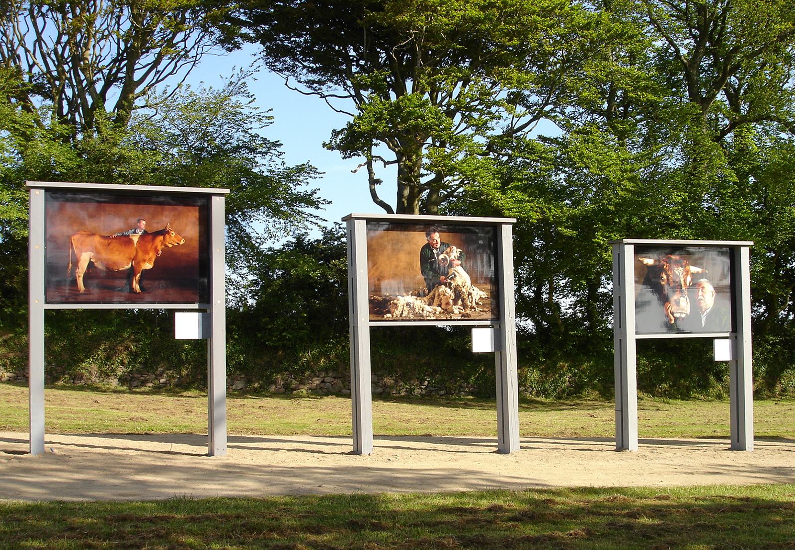 EXPOSITION YANN ARTHUS-BERTRAND Bestiaux Concept / Scénographie / M... 2002